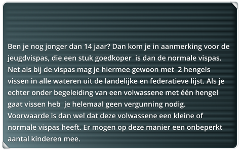 Ben je nog jonger dan 14 jaar? Dan kom je in aanmerking voor de jeugdvispas, die een stuk goedkoper  is dan de normale vispas. Net als bij de vispas mag je hiermee gewoon met  2 hengels vissen in alle wateren uit de landelijke en federatieve lijst. Als je echter onder begeleiding van een volwassene met n hengel gaat vissen heb  je helemaal geen vergunning nodig.  Voorwaarde is dan wel dat deze volwassene een kleine of normale vispas heeft. Er mogen op deze manier een onbeperkt aantal kinderen mee.